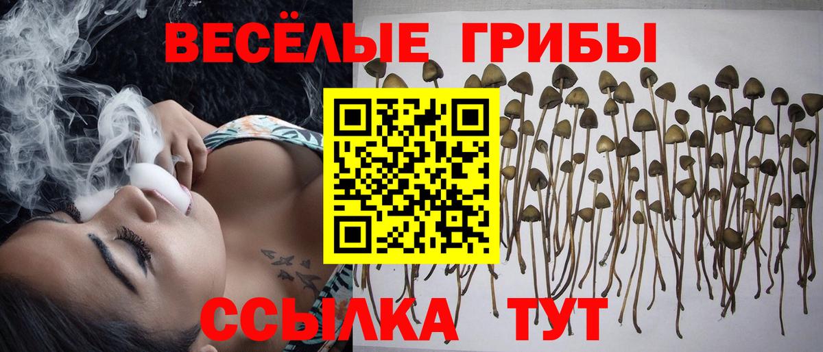 Псилоцибиновые грибы мухоморы Кировск