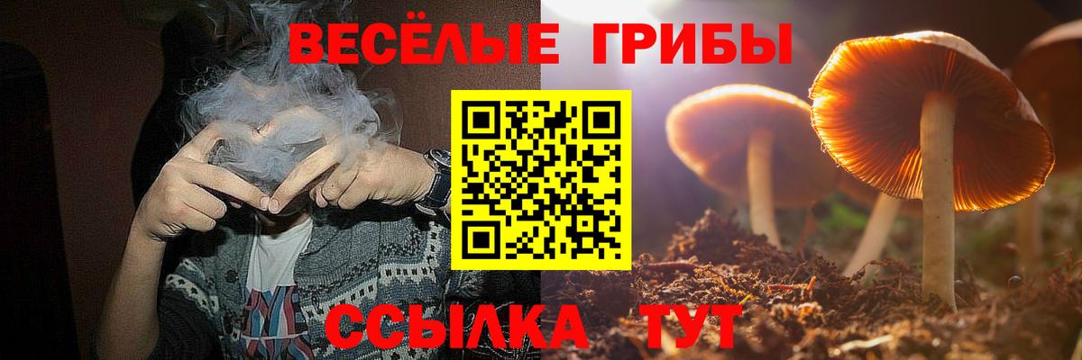 Кировск  Галлюциногенные грибы Magic Shrooms  Вход с VPN 